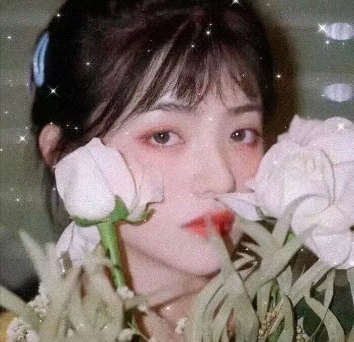 洛城少女二十五岁